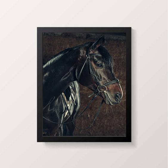 Quadro decorativo com fotografia de rosto de cavalo marrom de perfil