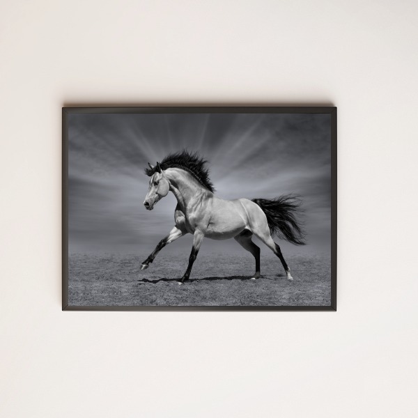 Quadro Decorativo foto Cavalo preto e branco galopando