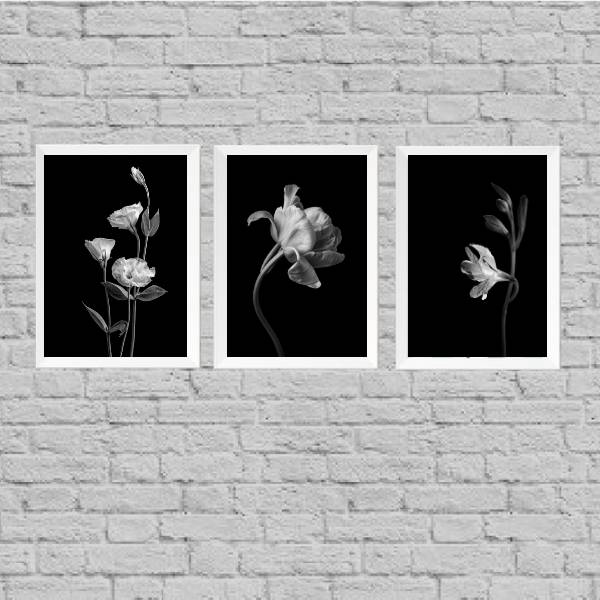 Kit 3 Quadros Flores Preto E Branco