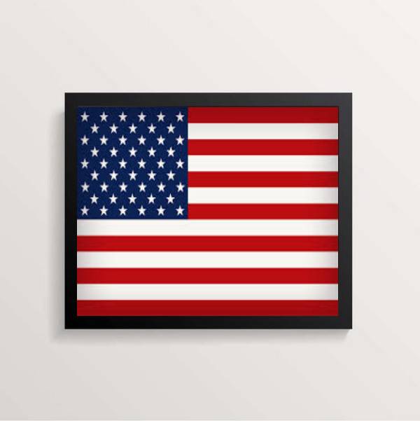 Quadro Bandeira Estados Unidos