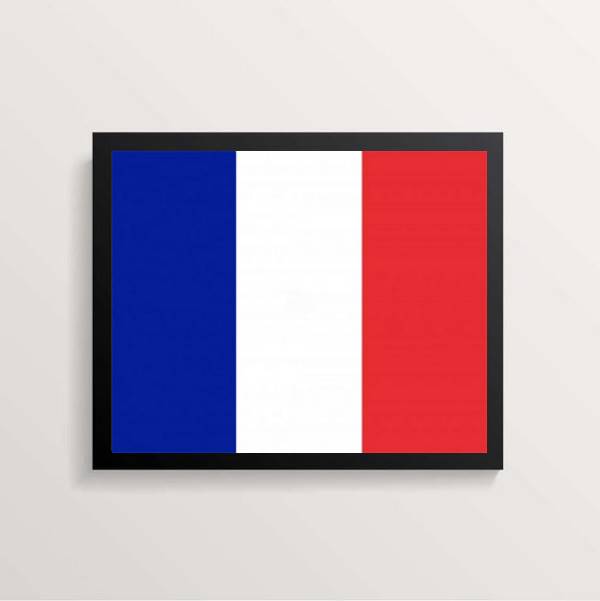 Quadro Decorativo Bandeira França