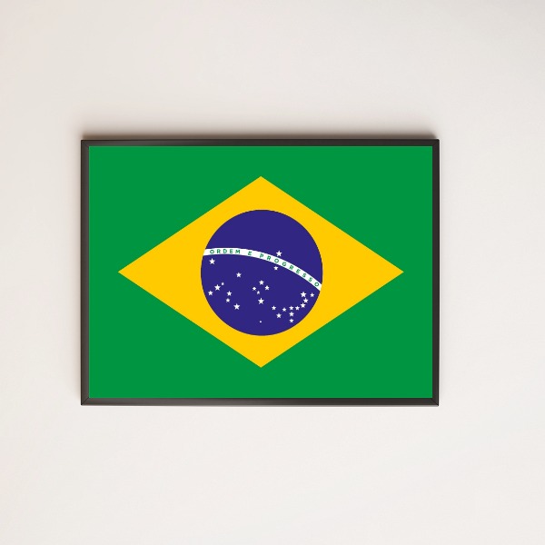 Quadro Decorativo Bandeira Brasil