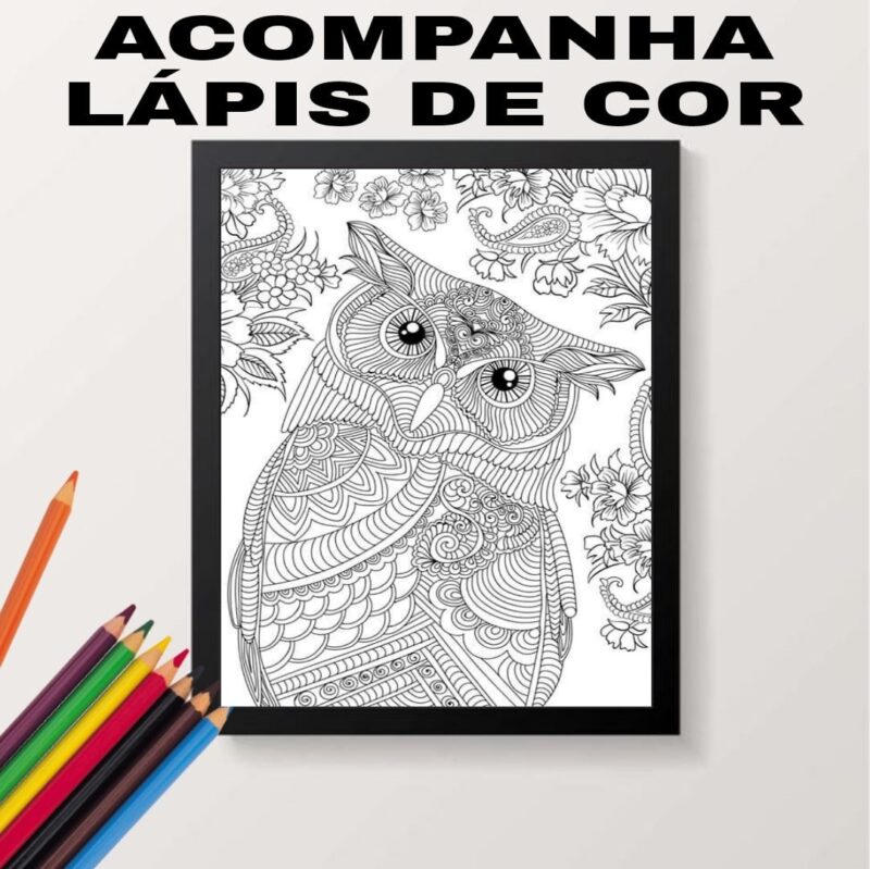 Quadro Decorativo Para Colorir Coruja