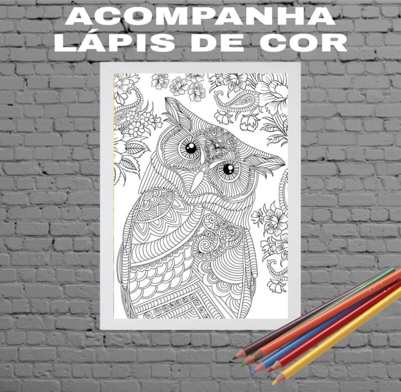 Quadro Decorativo Para Colorir Coruja