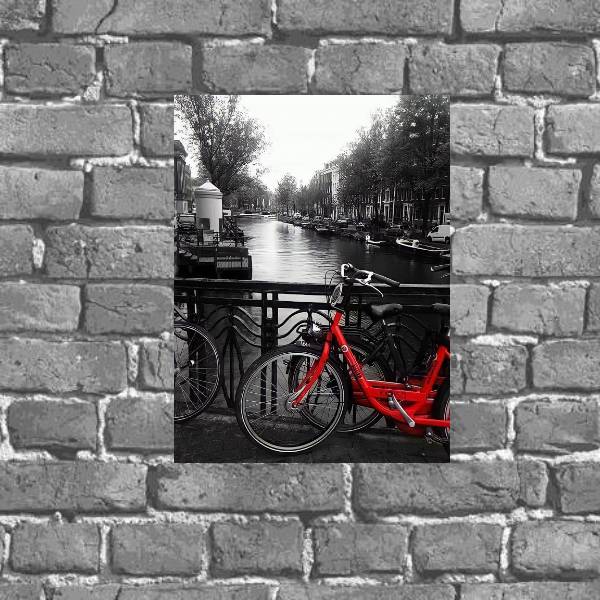 Placa Decorativa Fotografia Bicicleta