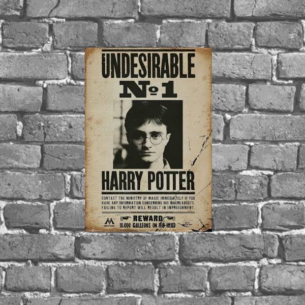 Placa Decorativa Harry Potter Procurado