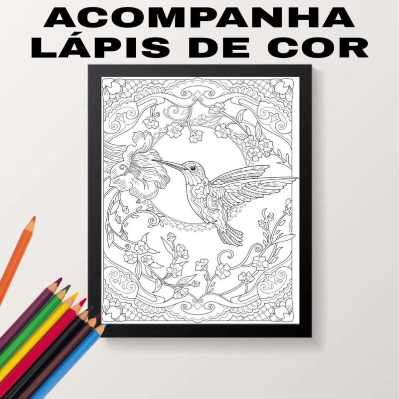 Quadro Decorativo Para Colorir Beija Flor