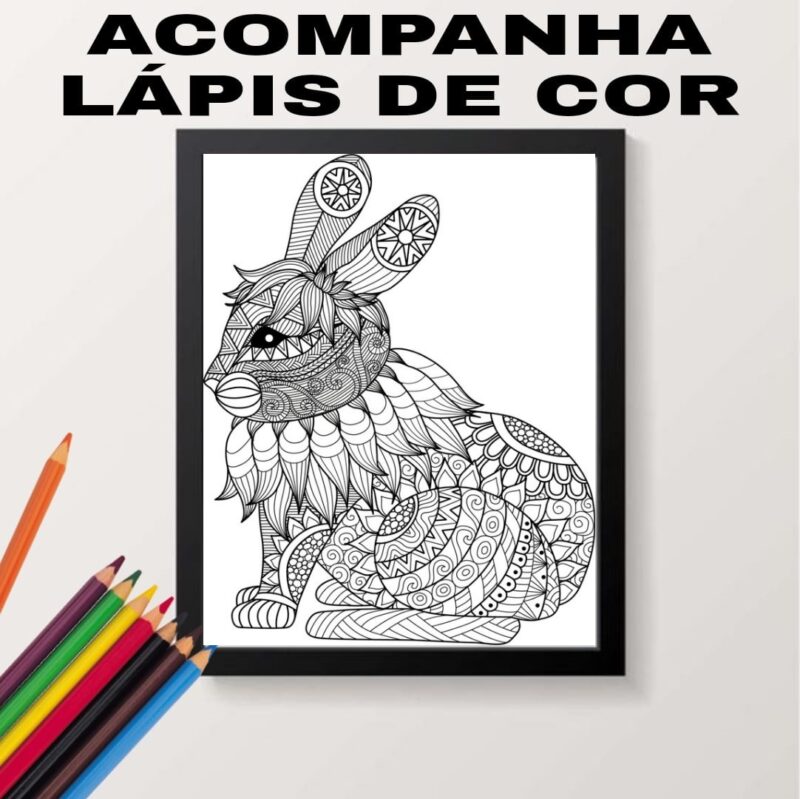 Quadro Decorativo Para Colorir Coelho