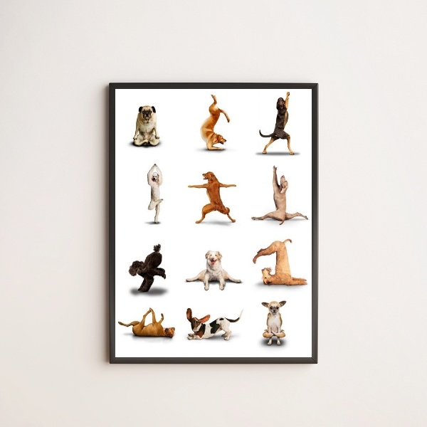 Quadro Decorativo Yoga Dogs