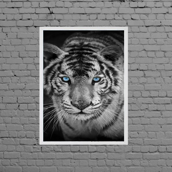 Quadro Fotografia Tigre Olho Azul