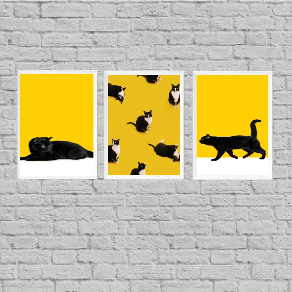 Kit 3 Quadros Gato Preto E Amarelo