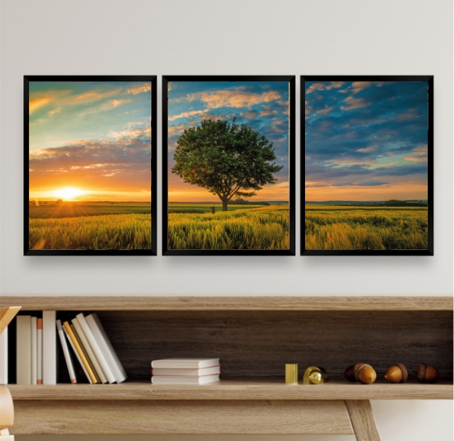 Kit 3 Quadros Decorativos Por Do Sol Com Árvore