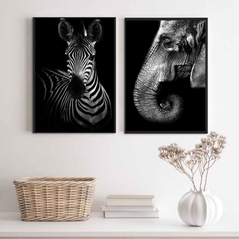 Kit 2 Quadros Fotografias Zebra E Elefante