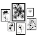 Composição 6 Quadros Flores Transparentes Preto E Branco