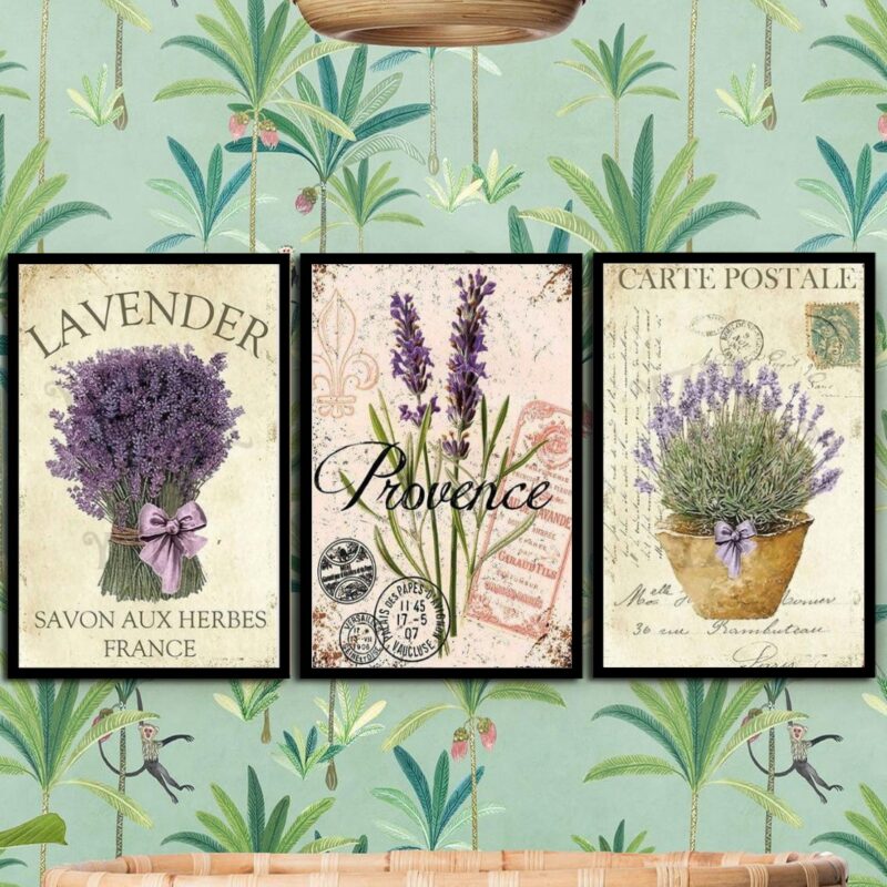 Kit 3 Quadros Lavanda Francesa Provence