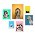 Composição 6 Quadros Decorativos Cães E Gatos