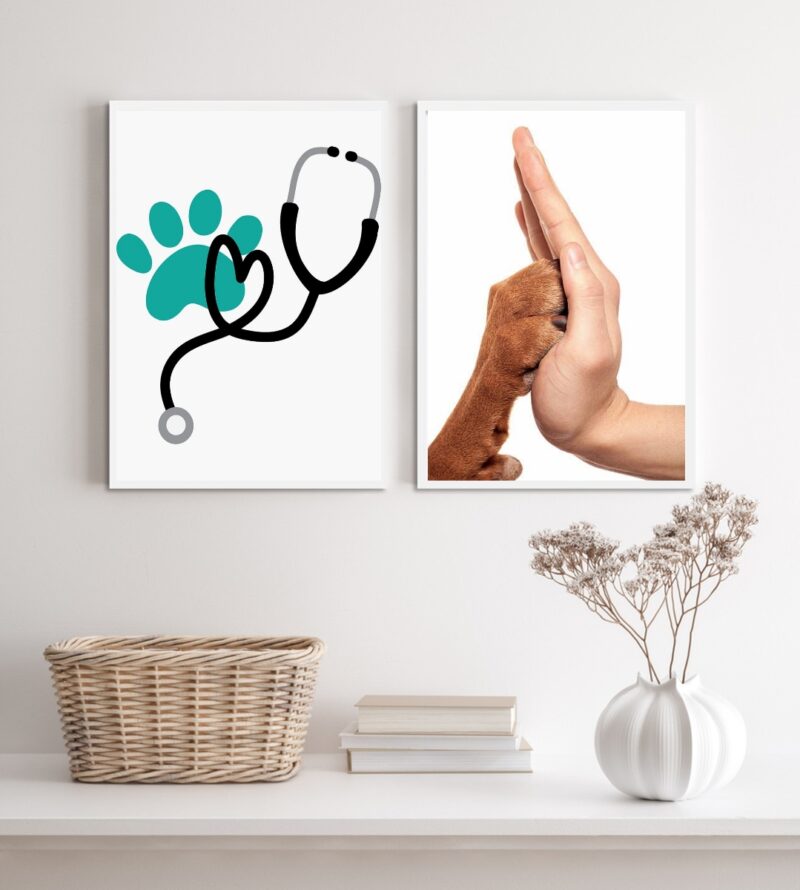 Kit 2 Quadros Decorativos Para Clinica Veterinária