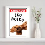 Quadro Decorativo Cuidado Cão Doido