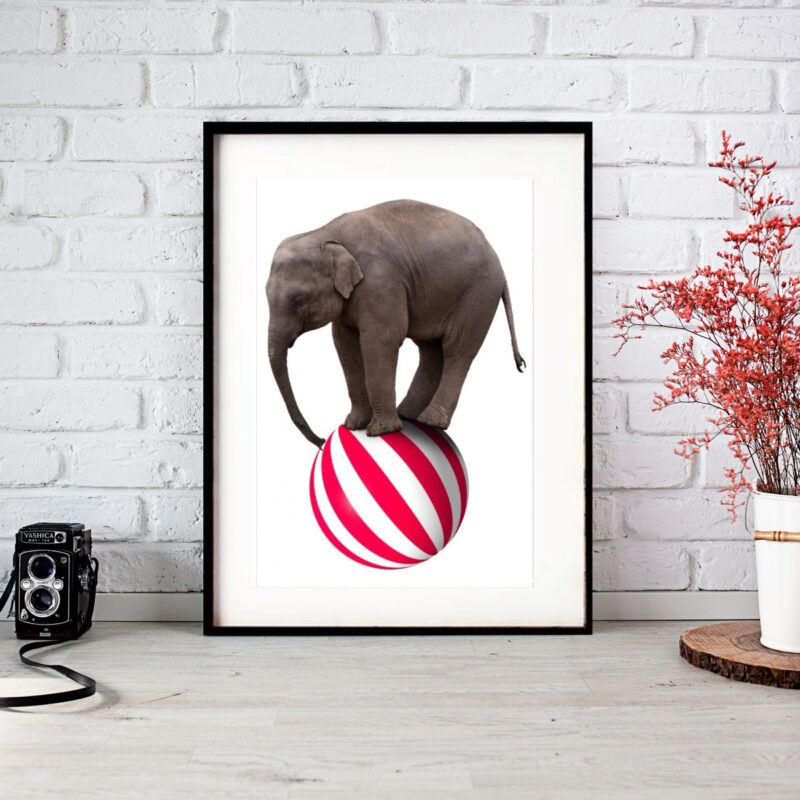 Quadro Elefante de Circo - 60x48 Cm