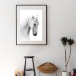 Quadro Fotografia Cavalo Branco - 60x48 Cm