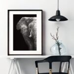 Quadro Fotografia Elefante Metade - 60x48 Cm