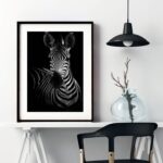 Quadro Fotografia Zebra - 60x48 Cm