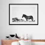 Quadro Horizontal Foto Zebra - 60x48 Cm