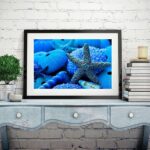 Quadro Estrela do Mar Azul Intenso - 60x48 Cm