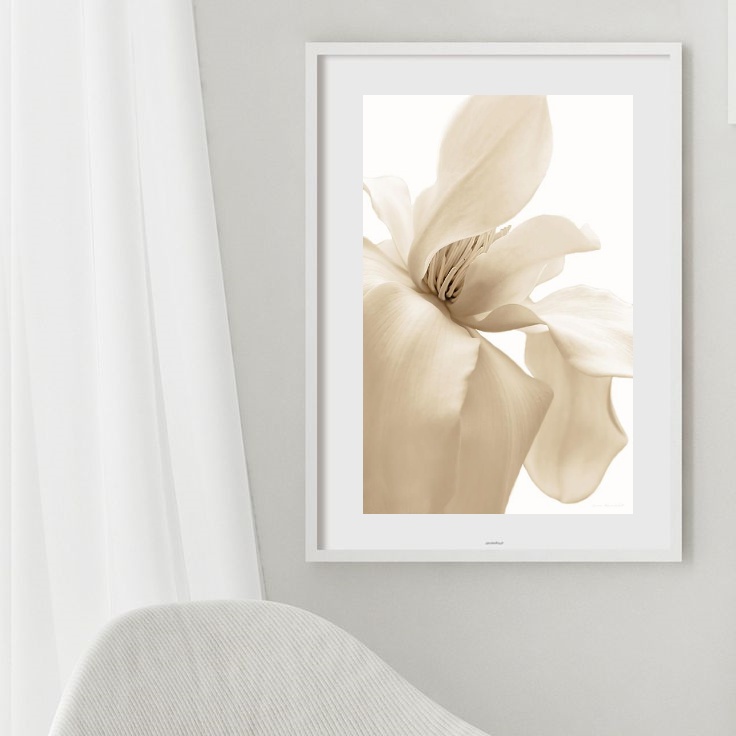 Quadro Flor Branco Gelo - 60X48 Cm