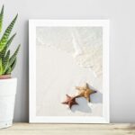 Quadro Coleção Praia Soft - Estrelas Do Mar