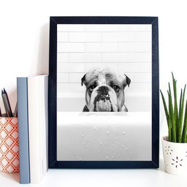 Quadro Para Banheiro Bulldog Na Banheira