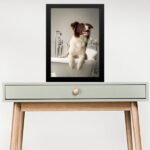 Quadro Para Banheiro Border Collie