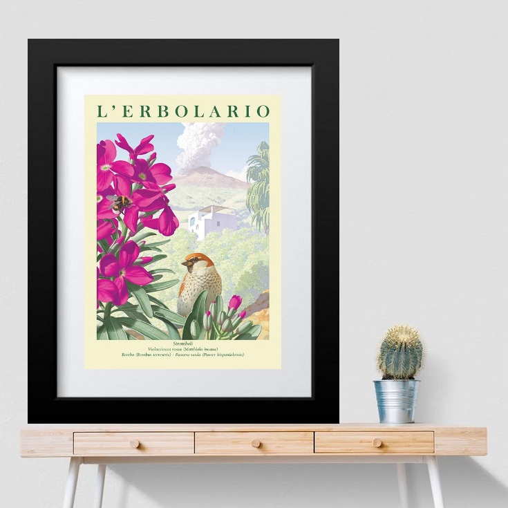 Quadro Passarinho Com Flor Rosa - 60x48 Cm