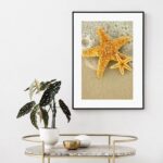 Quadro Estrelas Do Mar Amarelas - 60x48 Cm