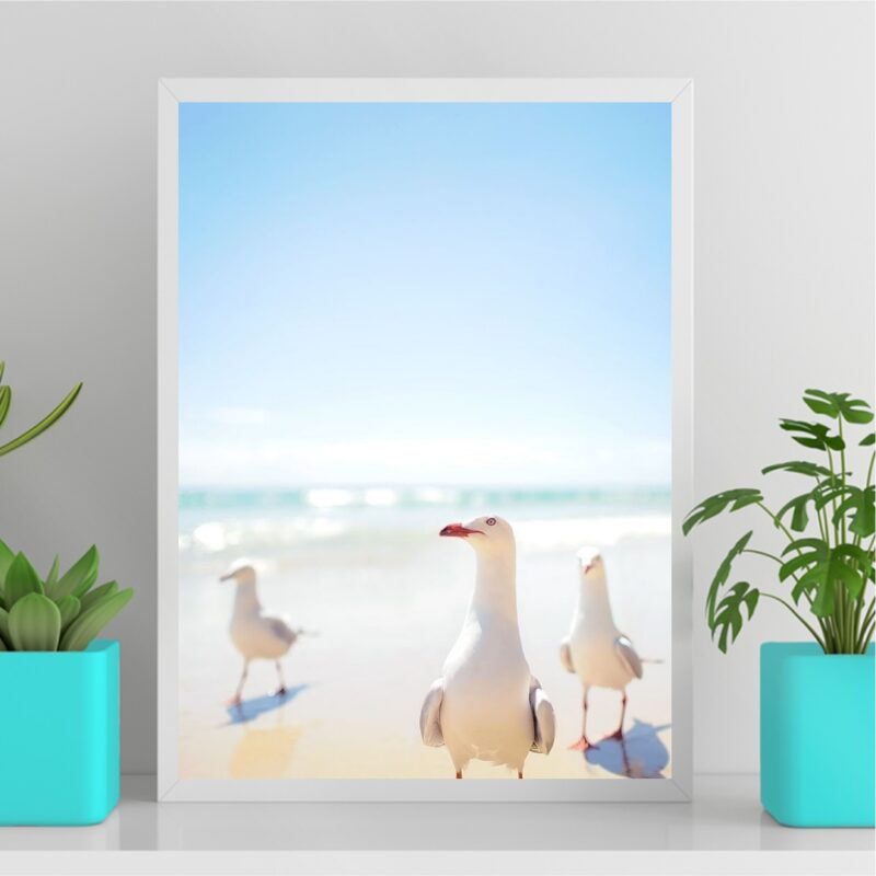 Quadro Decorativo Praia Leve - Gaivotas B