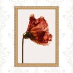 Quadro Moldura Dourada Flor Alaranjada