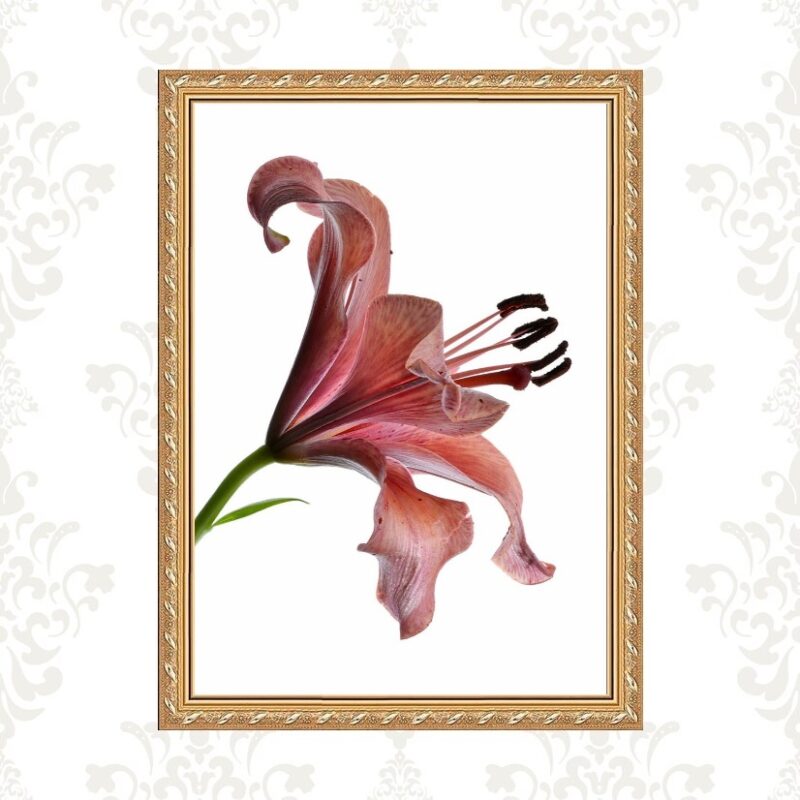 Quadro Moldura Dourada Flor Nuances Bordô