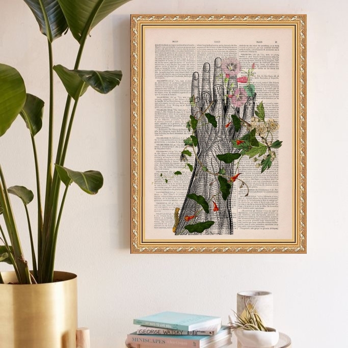 Quadro Decorativo Fisiologia Floral Mão