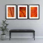 Kit 3 Quadros Grandes Orange Leafs 60x48cm