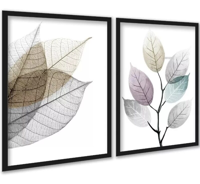 Kit 2 Quadros Modernos Folhas Transparentes